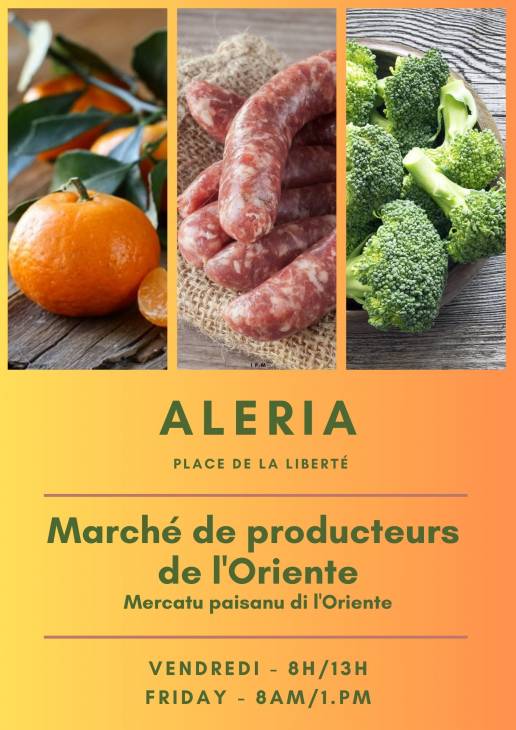 Texte alternatif
